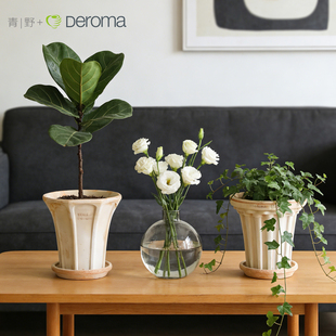 青野园艺家deroma帝罗马自由圣家堂陶土花盆室内绿植盆栽简约家居