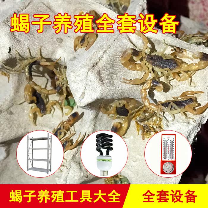 全新蝎子养殖专用工具套装 养蝎鸡蛋托温控器 脱皮器蜕壳设备10张在类目 宠物/宠物食品及用品, 爬虫/鸣虫及其用品, 蝎类中 - 来自Buy2taobao.com提供专业的淘宝代购服务