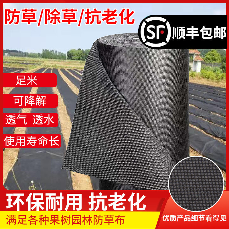 可降解防草布果树地布除草布耐用农用新型地膜果园生态无纺布地钉