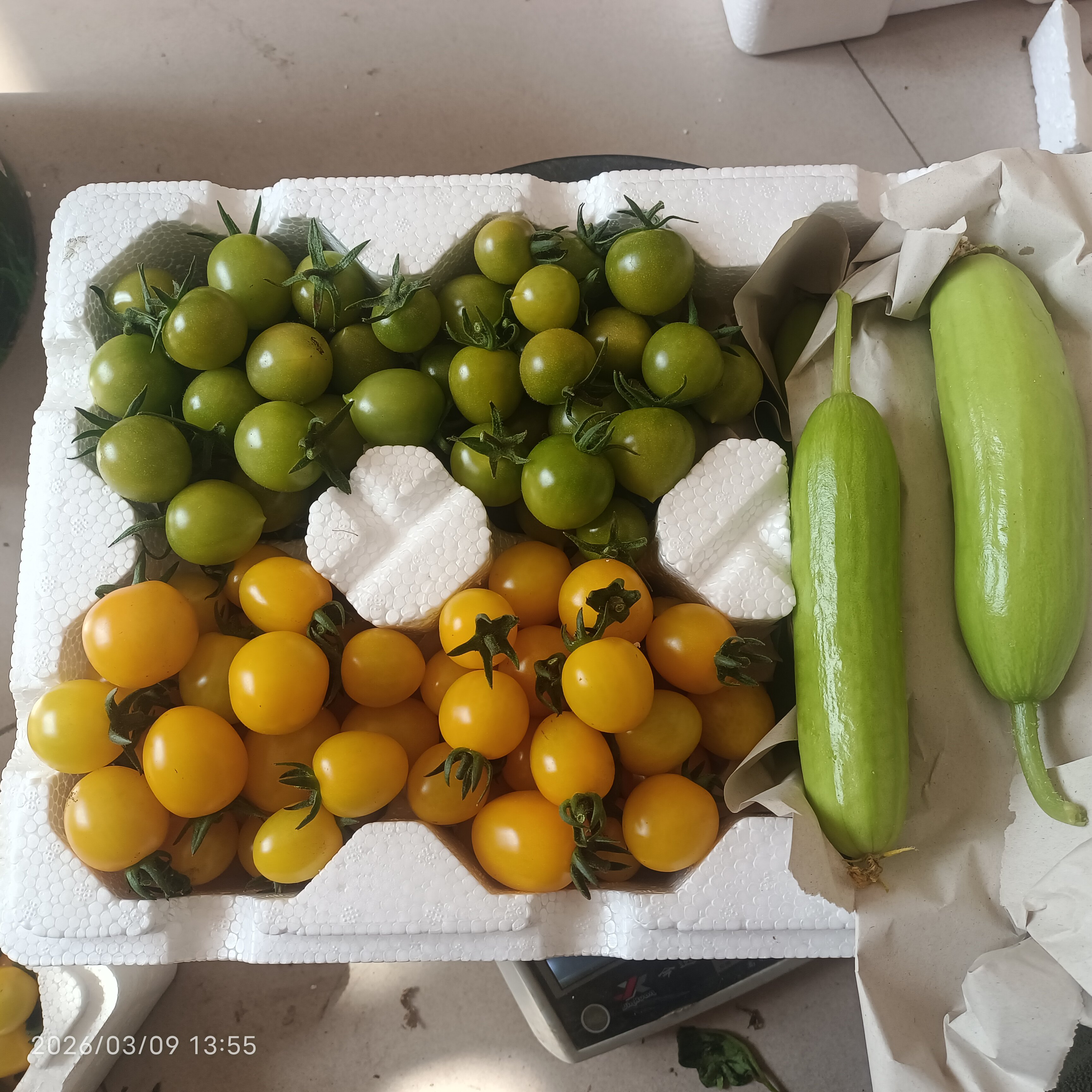 寿光蔬菜水果两种小柿子青甜迷恋贝贝小番茄混搭赠四根奶油小黄瓜