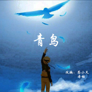 苍小天改编《青鸟》完整版吉他谱+小提琴谱+曲子伴奏 老姑