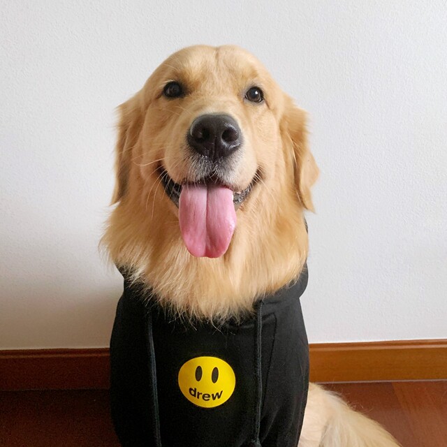 drew笑脸潮牌宠物大狗衣服狗狗卫衣帽衫金毛哈士奇萨摩耶中大型犬