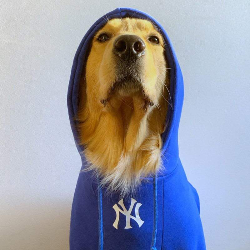 恶搞mlb潮牌宠物大狗衣服狗狗卫衣帽衫金毛哈士奇萨摩耶中大型犬