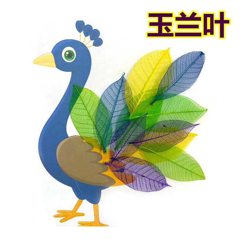玉兰叶儿童美术手工diy涂鸦木人绘画装饰莲蓬石头益智玩具七色花