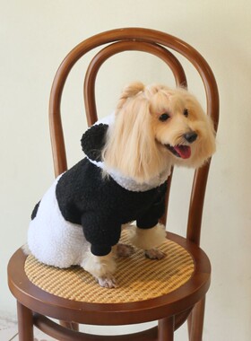 小熊猫羊羔毛四角裤保暖舒适适合中小型犬猫狗宠物服饰比熊