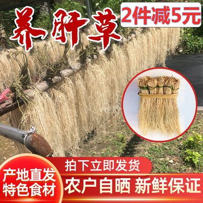 养肝草广东特产龙须草开胃线十