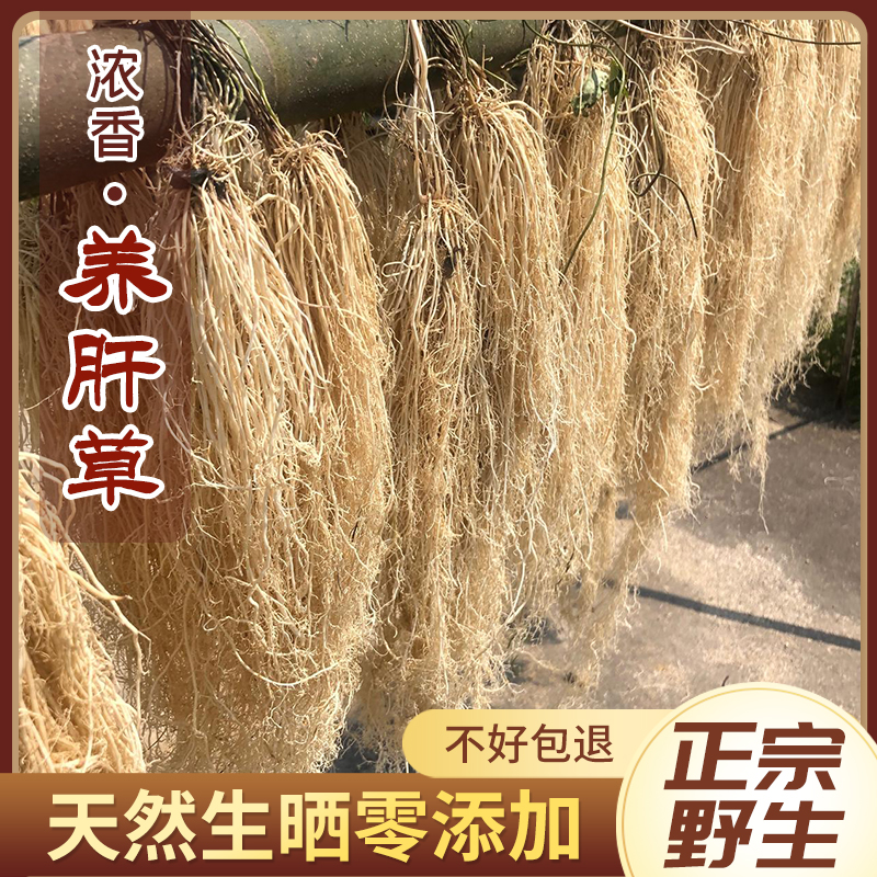 广东特产养肝草龙须草开胃草护肝草丝线根酒店汤料养生煲鸡汤浓香