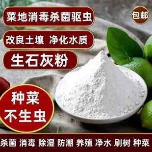 生石灰种菜专用杀虫正宗石灰粉干燥剂除湿家用鱼塘消毒白灰粉防虫