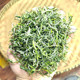绿茶2025新茶云南一级精细清香型春尖绿茶