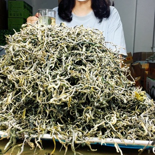 （直播特惠1.5斤）白毫毛尖浓香型春尖绿茶口齿留香型高浓度茶叶