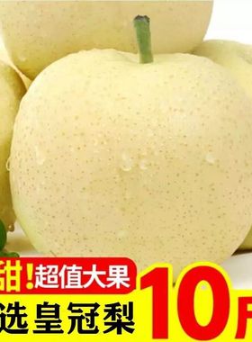 河北正宗皇冠梨子新鲜10斤水果鸭梨雪梨砀山梨翠冠梨当季整箱