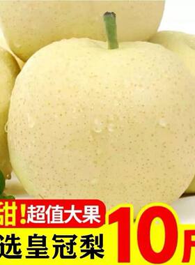 河北正宗皇冠梨子新鲜10斤水果鸭梨雪梨砀山梨翠冠梨当季整箱