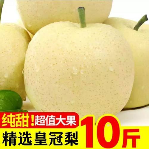 河北正宗皇冠梨子新鲜10斤水果鸭梨雪梨砀山梨翠冠梨当季整箱
