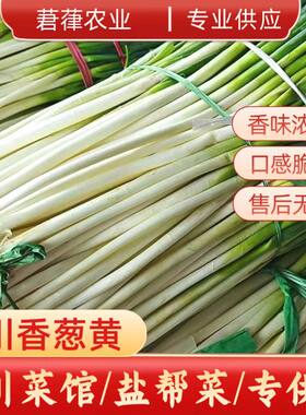 莙葎葱黄川菜盐帮菜供应链10年