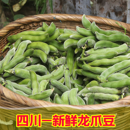 【狗儿豆 顺丰普快】新鲜农家狗儿豆现摘猫儿豆龙爪豆1/3/5/8斤