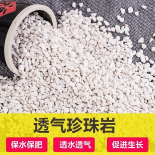 珍珠岩养花专用膨胀珍珠岩硬质多肉至蛭石园艺兰花专用营养土