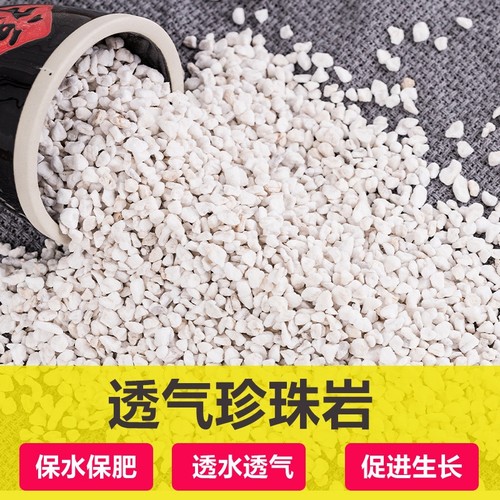 珍珠岩养花专用膨胀珍珠岩硬质多肉至蛭石园艺兰花专用营养土