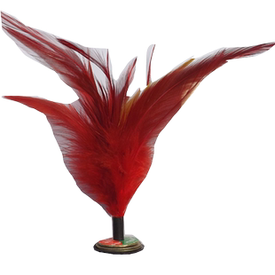 小花毽成人健身训练 鸡毛毽子小学生比赛 花毽毽子毽球包邮