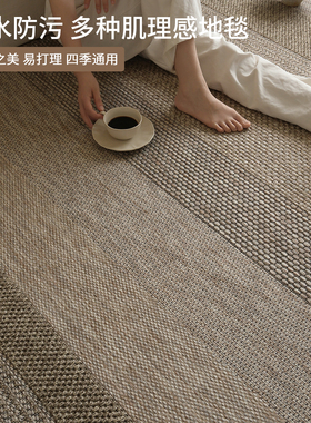 新款进口棕色系藤编地毯客厅防水几何高级感无胶中古风地垫