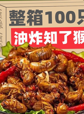 YZY山东特产炸金蝉新鲜蝉蛹即食油炸知了猴香辣知了现炸下酒菜