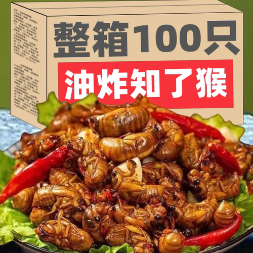 山东特产炸金蝉新鲜蝉蛹即食油炸