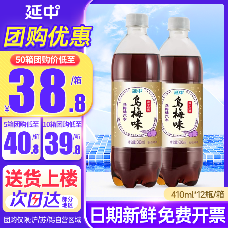上海延中乌梅汁汽水600ml*20瓶整箱包邮小瓶夏季碳酸果味饮料饮品