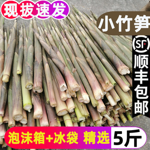小竹笋新鲜野生江西带壳春笋非雷笋现挖手剥小笋子水竹笋山笋甜笋