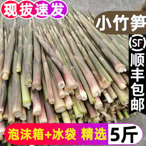 小竹笋新鲜野生江西带壳春笋非雷笋现挖手剥小笋子水竹笋山笋甜笋