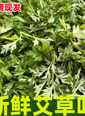 艾草新鲜清明草艾蒿当季蔬菜生艾草叶艾糍粑青团原料现摘嫩艾叶