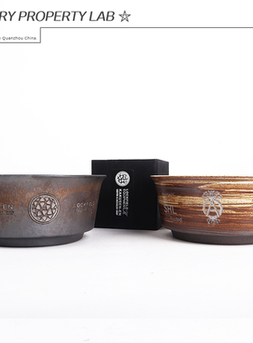 121陶瓷龟甲龙惠比须笑大黑象牙宫潮流沙生植物花盆植本钵SRL花盆