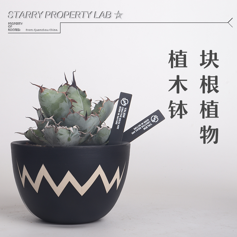 77潮流植物块根花盆植木钵仙人球块根龙舌兰日式黑金木村拓哉陶瓷