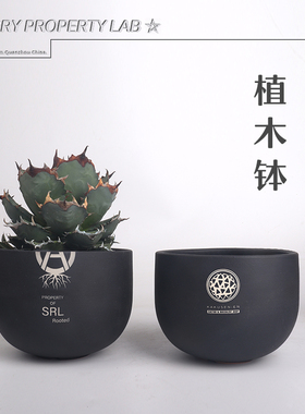 74潮流植物花盆SRL花盆手工陶瓷龟甲龙惠比须笑大黑象牙宫盆