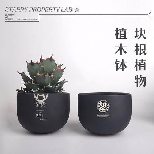74潮流植物花盆SRL花盆手工陶瓷龟甲龙惠比须笑大黑象牙宫盆