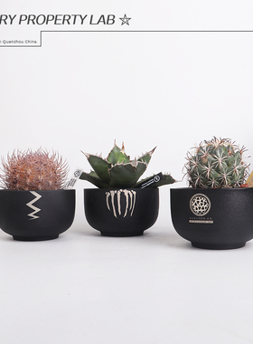 100陶瓷日式潮流块根手工花盆仙人球惠比须笑大黑植木钵龙舌兰