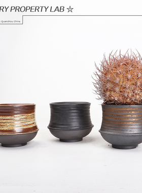 150潮流块根植物龙舌兰龟甲龙块根SRL陶瓷手工花盆NEIGHBORHOOD