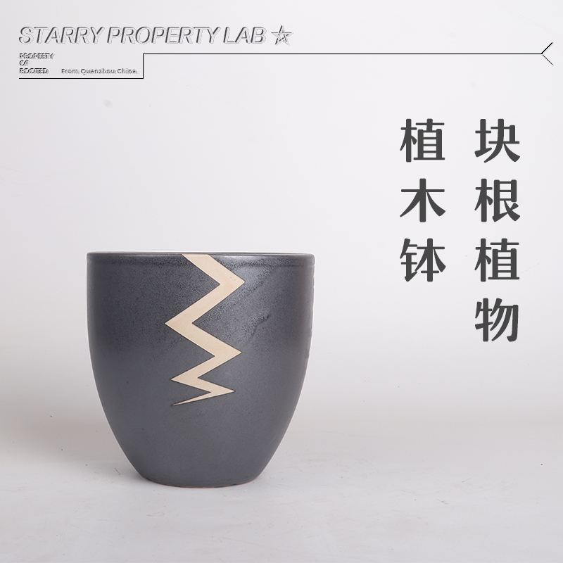 52潮流块根植物花盆仙人球兜象足漆树惠比须笑大黑象牙宫植木钵