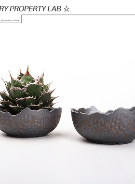 155潮流块根植物龙舌兰龟甲龙块根SRL陶瓷手工花盆NEIGHBORHOOD