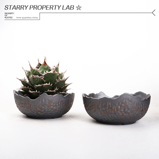 155潮流块根植物龙舌兰龟甲龙块根SRL陶瓷手工花盆NEIGHBORHOOD