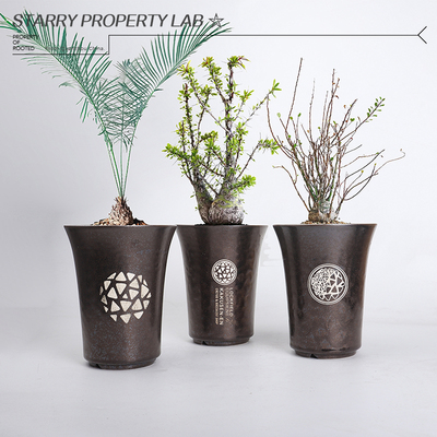 140潮流块根植物龙舌兰龟甲龙块根SRL陶瓷手工花盆NEIGHBORHOOD