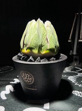 11潮流块根植物龙舌兰龟甲龙SRL花盆陶瓷NEIGHBORHOOD藤原浩