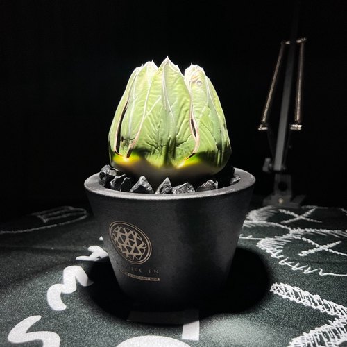 潮流块根植物花盆陶瓷