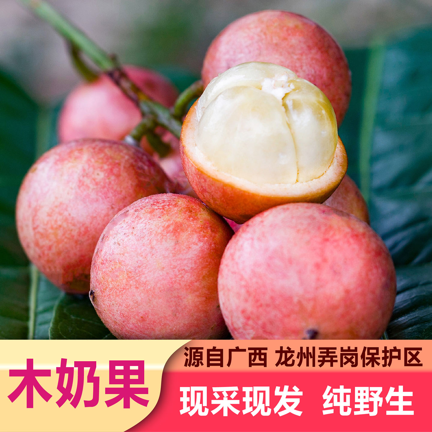 崇左市食用农产品当季新鲜木奶果