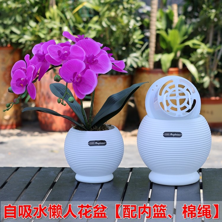蝴蝶兰专用懒人花盆双层自动吸水盆绿萝石斛兰种植杯定植篮育苗钵,鲜花速递/花卉仿真/绿植园艺,花盆,淘宝优惠券,粉丝福利购,淘宝优惠卷