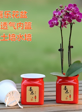 新款红色自吸水喜乐盆蝴蝶兰花年宵花种植土培水培双层花钵定植篮