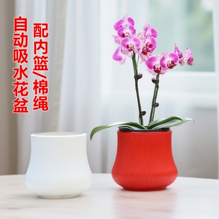 双层自动吸水花盆鸿运当头蝴蝶兰花盆栽植物懒人储水花钵定植篮