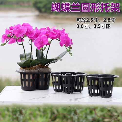 圆形3孔4孔蝴蝶兰花托架透明兰花杯育苗钵组盆托架花盆底座定植篮