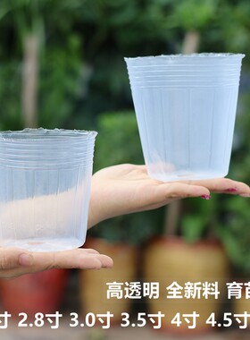 蝴蝶兰专用花盆透明育苗钵兰花杯