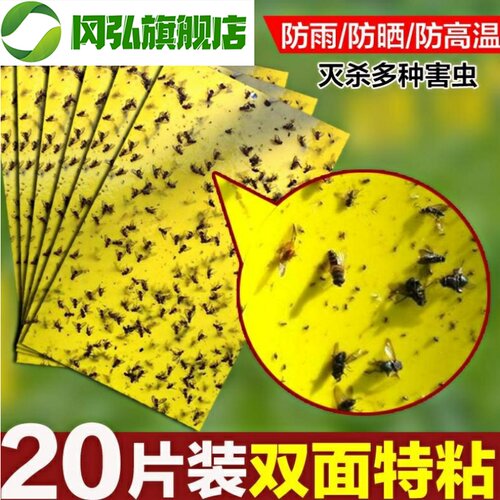 农业粘虫板价格 农业粘虫板图片 星期三