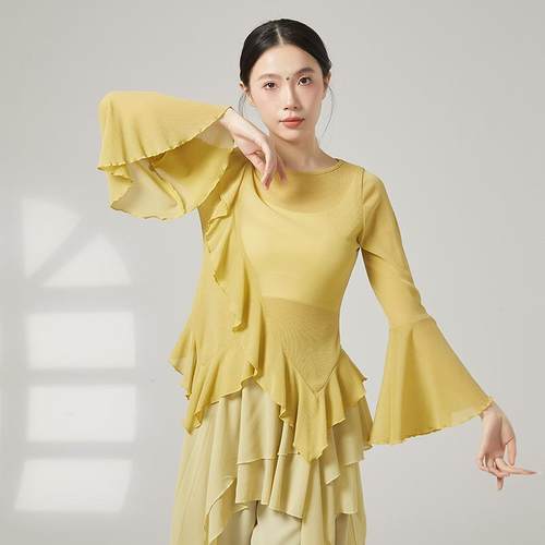 服漂亮仙气纱衣飘逸上衣演出服练功形体舞蹈舞身韵成人中国古典舞