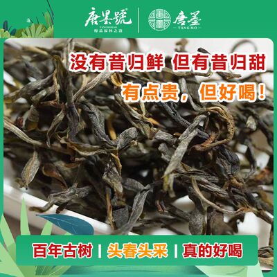唐墨號普洱茶生茶2026云县大朝山菖蒲塘春茶古树茶散茶500克